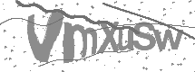 visual captcha